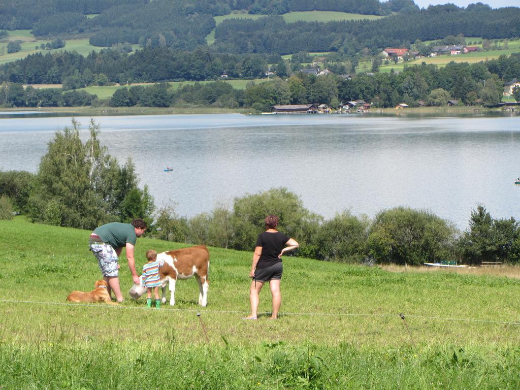 Bauernhof Schink Villa Zell am Moos Luaran gambar