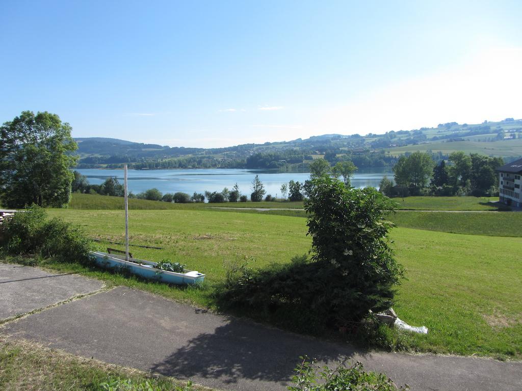 Bauernhof Schink Villa Zell am Moos Luaran gambar