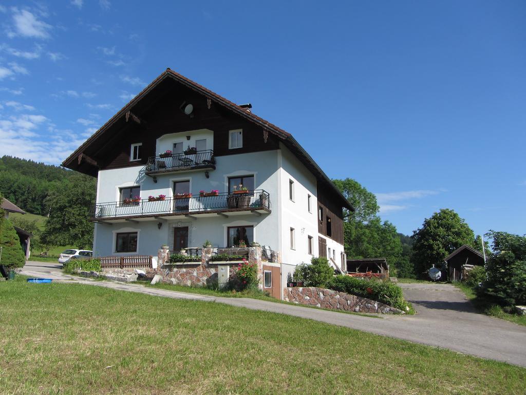 Bauernhof Schink Villa Zell am Moos Luaran gambar