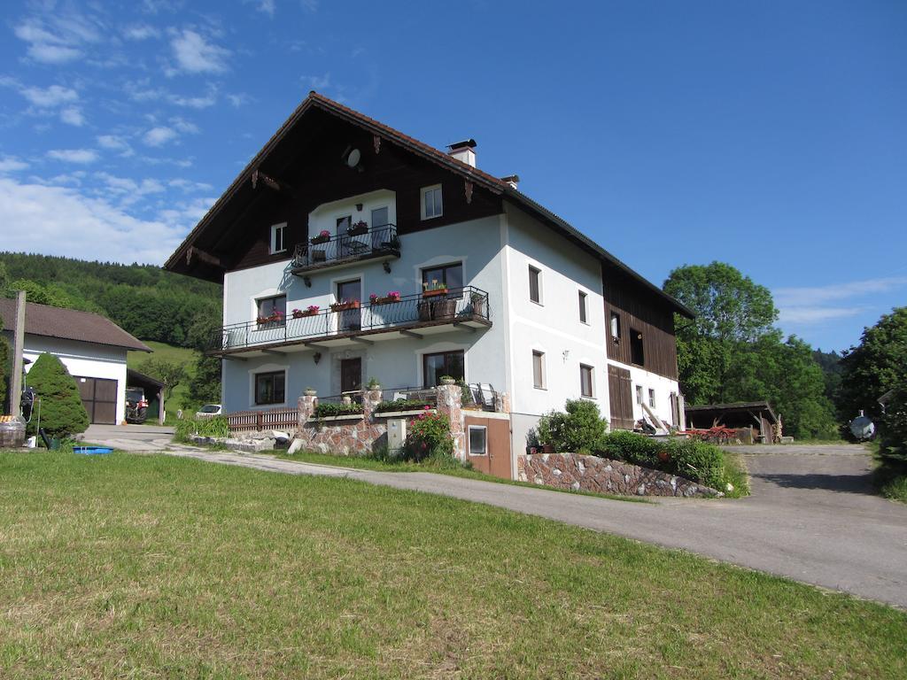 Bauernhof Schink Villa Zell am Moos Luaran gambar