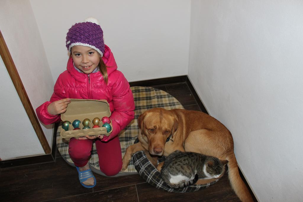 Bauernhof Schink Villa Zell am Moos Luaran gambar